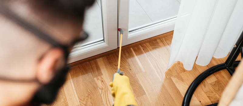 Exterminator protecting house from bugs